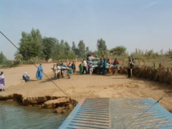 L’Ile à Morphil : le terroir des paradoxes et du désespoir L’Ile à Morphil : le terroir des paradoxes et du désespoir