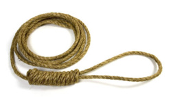 Il se suicide en direct sur Skype Il se suicide en direct sur Skype