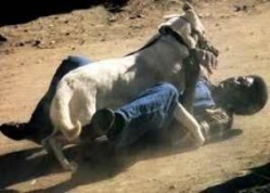 Morsures meurtrières : Un mystérieux chien tue 6 personnes et installe la psychose à Tivaouane Peulh Morsures meurtrières : Un mystérieux chien tue 6 personnes et installe la psychose à Tivaouane Peulh