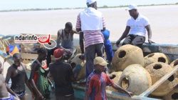 GESTION DE L’AIRE MARINE PROTÉGÉE DE SAINT-LOUIS: immersion de 400 récifs artificiels (vidéo) GESTION DE L’AIRE MARINE PROTÉGÉE DE SAINT-LOUIS: immersion de 400 récifs artificiels (vidéo)