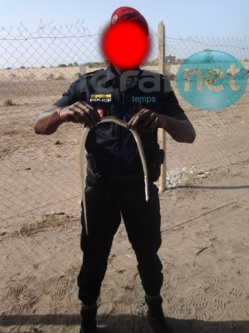 Mort de Bassirou Faye - Le témoin Sette Diagne persiste : "Je ne me suis jamais rétracté, Tombon Oualy n'est pas celui que j'ai désigné" Mort de Bassirou Faye - Le témoin Sette Diagne persiste : "Je ne me suis jamais rétracté, Tombon Oualy n'est pas celui que j'ai désigné"