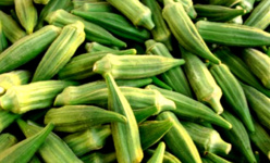La consommation du gombo réduit le taux de cholestérol La consommation du gombo réduit le taux de cholestérol