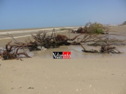 STABILISATION DE LA BRECHE  : une mission hollandaise débarque à Saint-Louis.