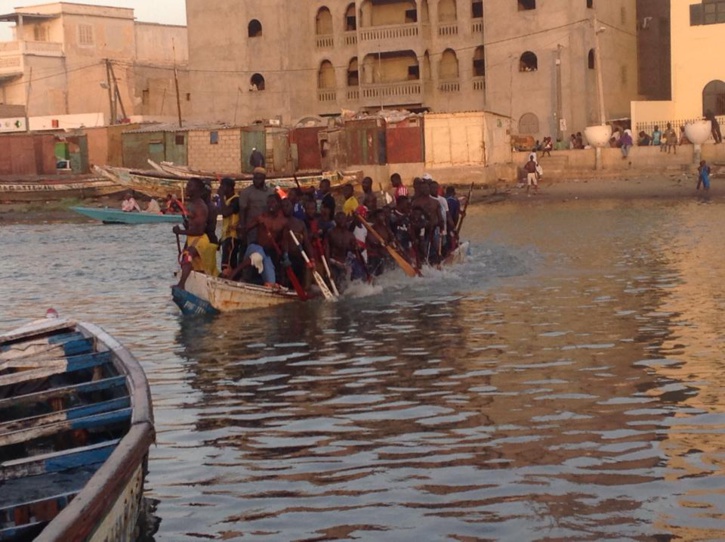 REGATES 2014: les pirogues s'entrainent. Regardez ! REGATES 2014: les pirogues s'entrainent. Regardez !