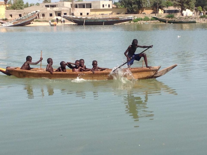 REGATES 2014: les pirogues s'entrainent. Regardez ! REGATES 2014: les pirogues s'entrainent. Regardez !