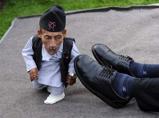 L'homme le plus grand du monde et l'homme le plus petit se sont rencontrés L'homme le plus grand du monde et l'homme le plus petit se sont rencontrés