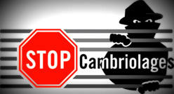 SAINT-LOUIS - CAMBRIOLAGES AU MARCHE SOR: le film des vols. SAINT-LOUIS - CAMBRIOLAGES AU MARCHE SOR: le film des vols.