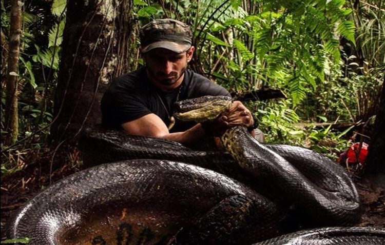 L'homme qui a tenté de se faire avaler par un anaconda sur Discovery