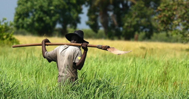 Le gouvernement prend 19 mesures pour un bon déroulement de la prochaine campagne agricole Le gouvernement prend 19 mesures pour un bon déroulement de la prochaine campagne agricole