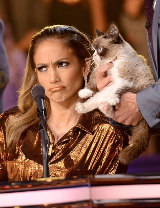 "Grumpy Cat", le chat le plus riche du monde