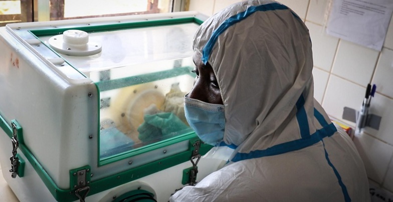 Un cas de Crimée-Congo détecté au Sénégal