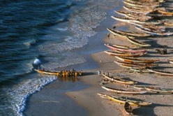 Le manque à gagner de la pêche illégale au Sénégal