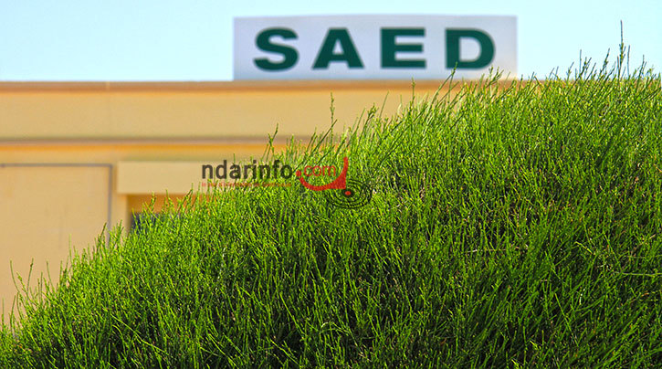 La SAED va s'étendre à la zone de Keur Momar Sarr en 2015, selon son DG.