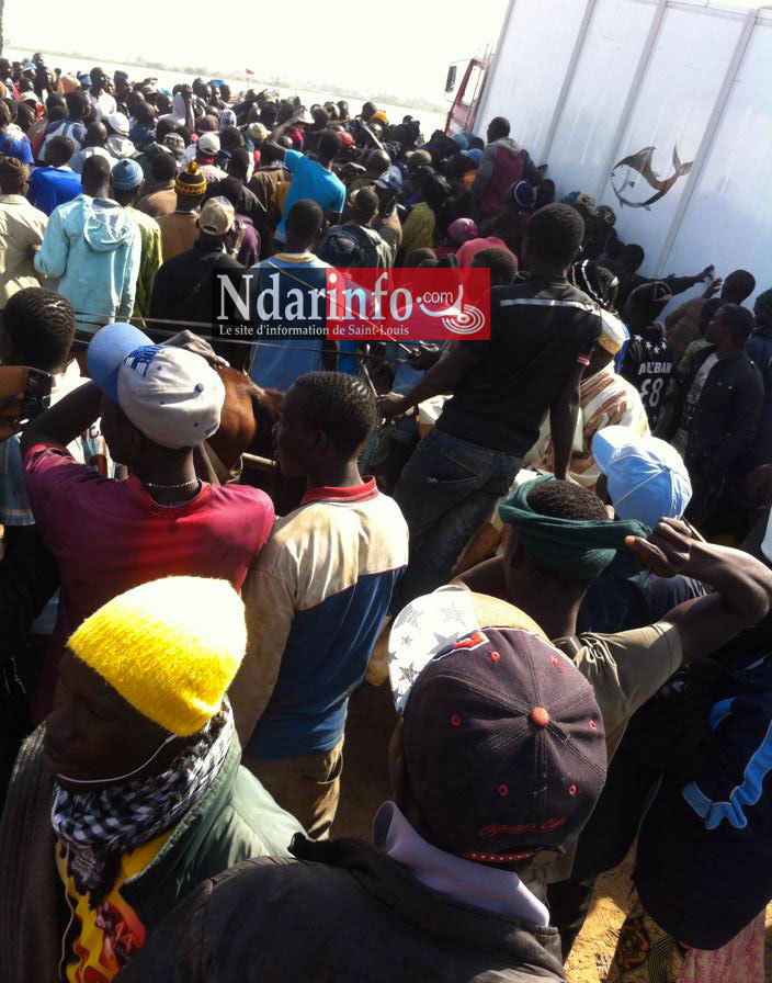 URGENT - SOULÈVEMENT A GUET-NDAR: les mareyeurs très en colère contre la Mairie. URGENT - SOULÈVEMENT A GUET-NDAR: les mareyeurs très en colère contre la Mairie.