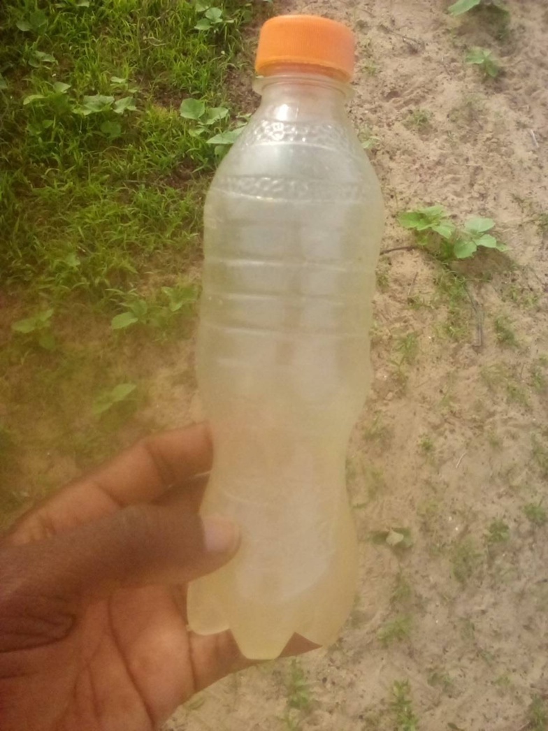 Danger à Saint Louis : de la viande empoisonnée sur le marché? Danger à Saint Louis : de la viande empoisonnée sur le marché?