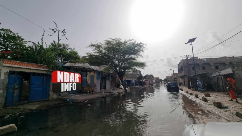 ​Refoulement d’égouts : scènes catastrophiques à Pikine (photos)