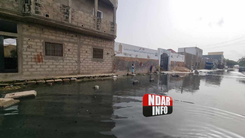 Refoulement d’égouts : scènes catastrophiques à Pikine (photos) Refoulement d’égouts : scènes catastrophiques à Pikine (photos)