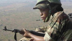 L'armée du Nigeria a tué "un grand nombre" de terroristes L'armée du Nigeria a tué "un grand nombre" de terroristes
