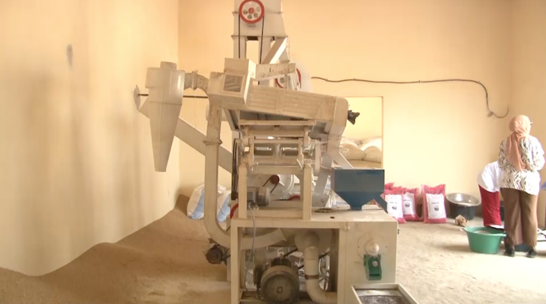 Lutte contre l’émigration irrégulière et le chômage : l’ARD inaugure une unité de décorticage de riz à Ndiawdoune. Lutte contre l’émigration irrégulière et le chômage : l’ARD inaugure une unité de décorticage de riz à Ndiawdoune.