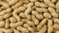 Une bonne raison de manger des cacahuètes