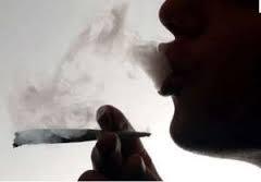 Forte consommation de drogue en milieu scolaire : Les élèves accros au chanvre Forte consommation de drogue en milieu scolaire : Les élèves accros au chanvre