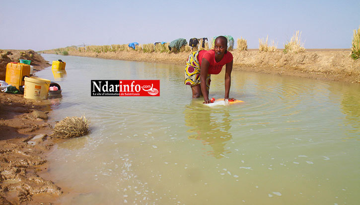 Une femme charge ses bidons dans un Canal drainé par Sen Huile