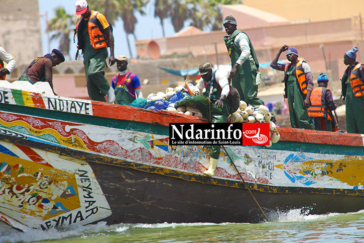 ( Photos) UN PÊCHEUR TOMBE EN PLEINE MANŒUVRE : l’opération de sauvetage se déclenche.