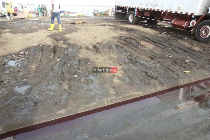 MASSACRE DU TOURISME SAINT-LOUISIEN : une terrible catastrophe à l’entrée de l’hydrobase. Regardez ! MASSACRE DU TOURISME SAINT-LOUISIEN : une terrible catastrophe à l’entrée de l’hydrobase. Regardez !