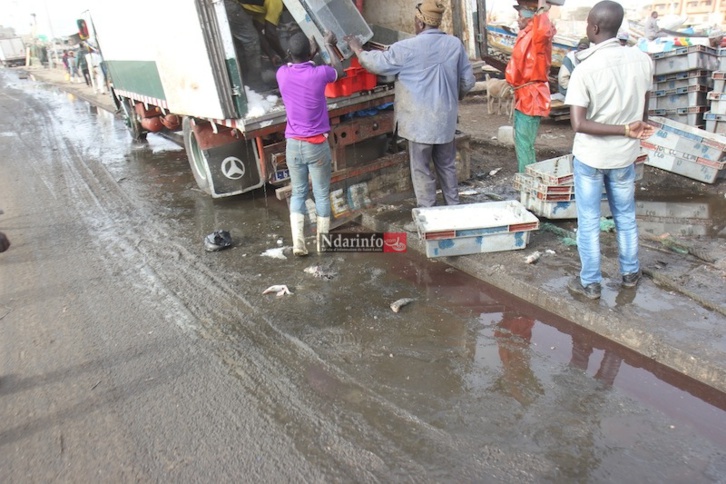 MASSACRE DU TOURISME SAINT-LOUISIEN : une terrible catastrophe à l’entrée de l’hydrobase. Regardez !