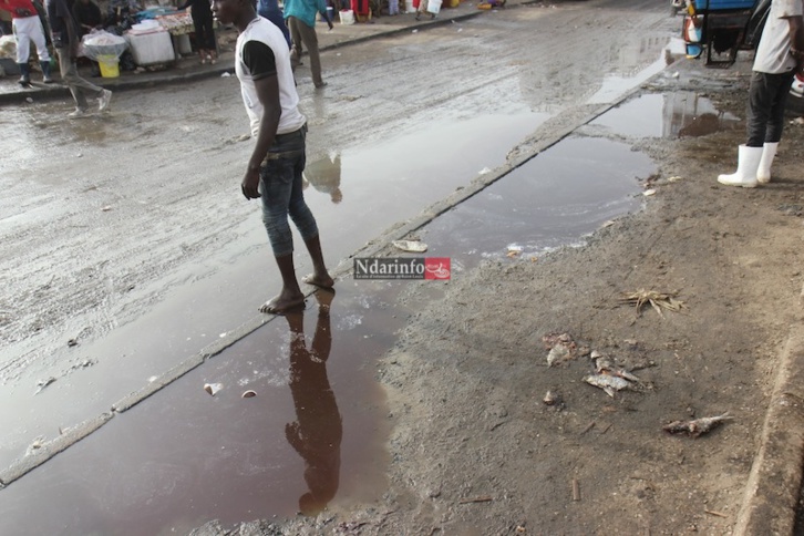 MASSACRE DU TOURISME SAINT-LOUISIEN : une terrible catastrophe à l’entrée de l’hydrobase. Regardez ! MASSACRE DU TOURISME SAINT-LOUISIEN : une terrible catastrophe à l’entrée de l’hydrobase. Regardez !