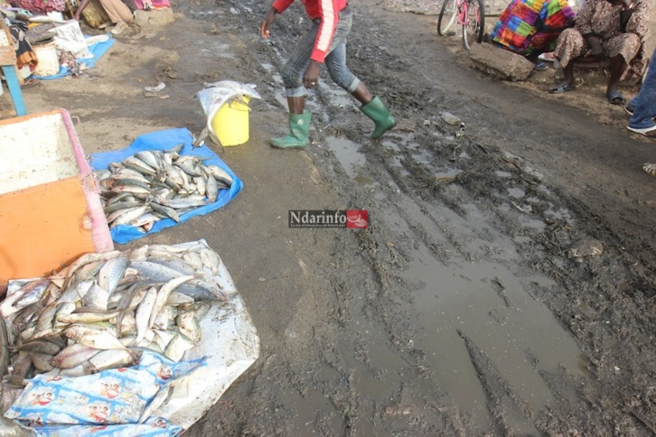 MASSACRE DU TOURISME SAINT-LOUISIEN : une terrible catastrophe à l’entrée de l’hydrobase. Regardez !