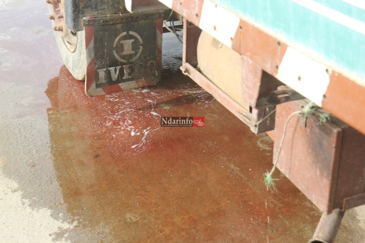 MASSACRE DU TOURISME SAINT-LOUISIEN : une terrible catastrophe à l’entrée de l’hydrobase. Regardez !