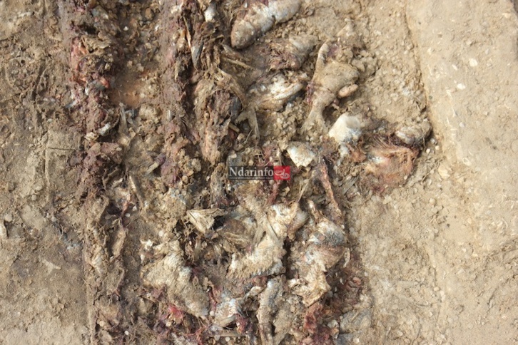 MASSACRE DU TOURISME SAINT-LOUISIEN : une terrible catastrophe à l’entrée de l’hydrobase. Regardez !
