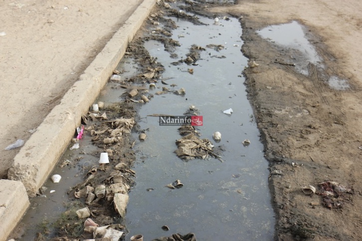 MASSACRE DU TOURISME SAINT-LOUISIEN : une terrible catastrophe à l’entrée de l’hydrobase. Regardez ! MASSACRE DU TOURISME SAINT-LOUISIEN : une terrible catastrophe à l’entrée de l’hydrobase. Regardez !