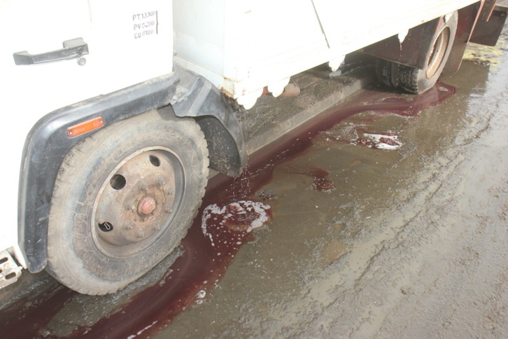 MASSACRE DU TOURISME SAINT-LOUISIEN : une terrible catastrophe à l’entrée de l’hydrobase. Regardez !