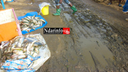 DÉSASTRE À L’ENTRÉE DE L’HYDROBASE : Le témoignage accablant d’une touriste. DÉSASTRE À L’ENTRÉE DE L’HYDROBASE : Le témoignage accablant d’une touriste.