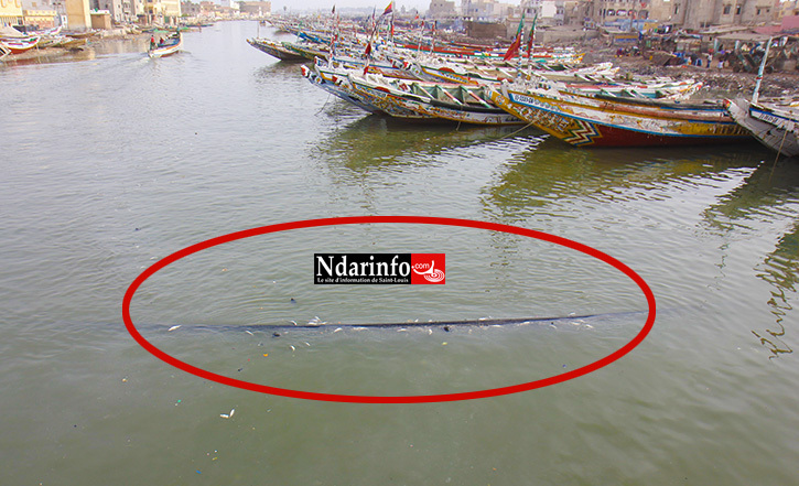 DANGER À SAINT-LOUIS : le canal d’eau qui alimente GUET-NDAR flotte (images)