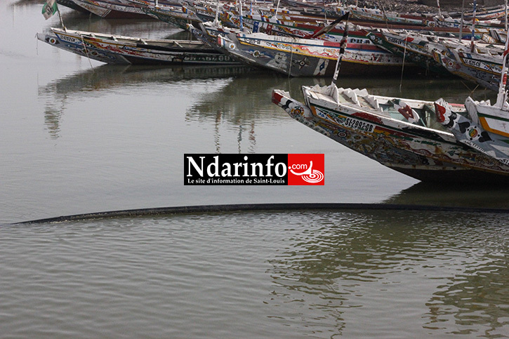 ALERTE : les piroguiers heurtent la conduite d’eau de Guet-Ndar (photos) ALERTE : les piroguiers heurtent la conduite d’eau de Guet-Ndar (photos)