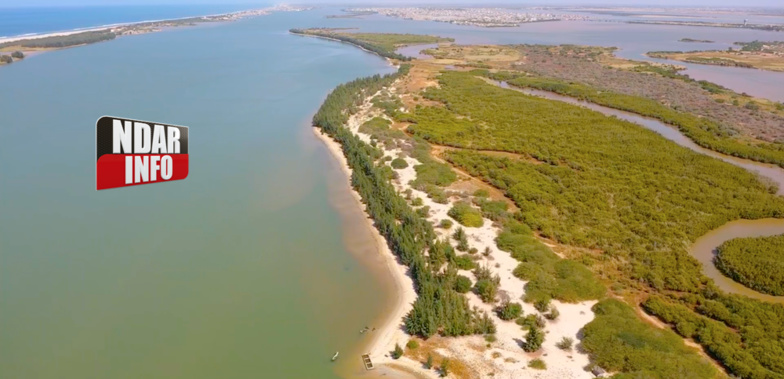 Doune Baba Dièye : l’engagement écologique en péril Doune Baba Dièye : l’engagement écologique en péril