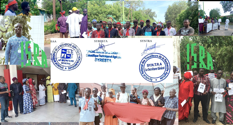 Situation de l'ISRA : communiqué conjoint de l’intersyndicale Situation de l'ISRA : communiqué conjoint de l’intersyndicale