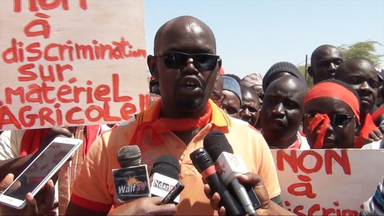 Vallée du fleuve : une campagne de contre-saison compromise par l’endettement des producteurs Vallée du fleuve : une campagne de contre-saison compromise par l’endettement des producteurs