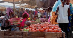 Sénégal : poursuite du repli de l'indice du chiffre d'affaires du commerce