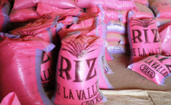 SÉNÉGAL: le kilogramme du riz paddy fixé à 125 FCFA. SÉNÉGAL: le kilogramme du riz paddy fixé à 125 FCFA.