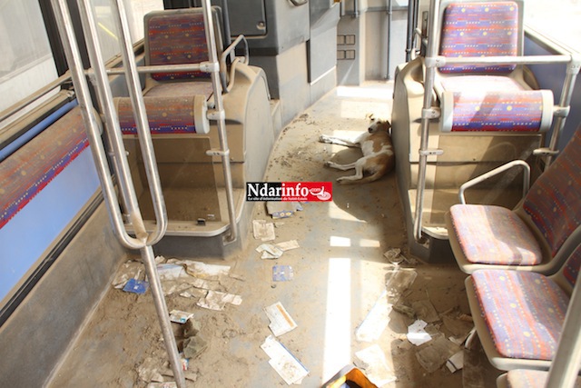 IMAGES CHOQUANTES : les bus de « Toulouse », juste deux ans après !