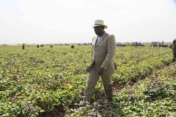 Sénégal : Légère baisse des importations au mois d`Avril