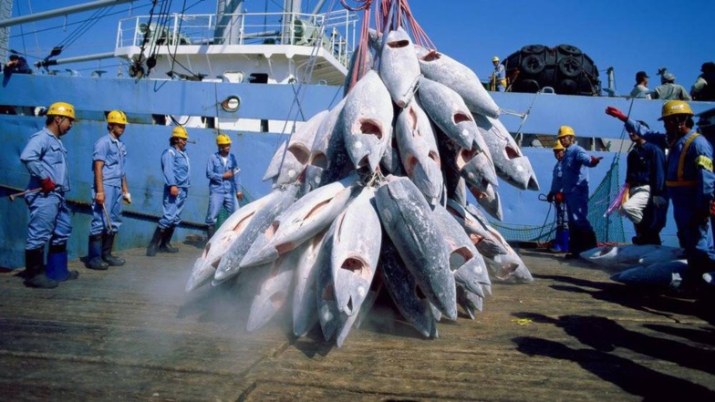 Licences de pêche : une grosse nébuleuse exhumée par l'Ofnac