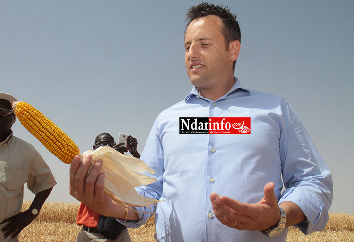 Senhuile Sa partage la douleur de la famille de Salif DIALLO. Senhuile Sa partage la douleur de la famille de Salif DIALLO.