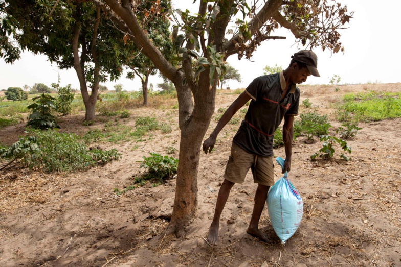 ENGRAIS : Micmac autour d'une procédure secrète sur un marché de plus de 80 milliards au minimum ENGRAIS : Micmac autour d'une procédure secrète sur un marché de plus de 80 milliards au minimum