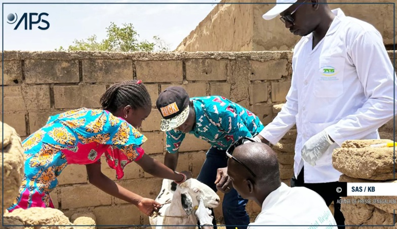 Un cas de fièvre hémorragique Crimée-Congo décelé à Bokidiawé Un cas de fièvre hémorragique Crimée-Congo décelé à Bokidiawé
