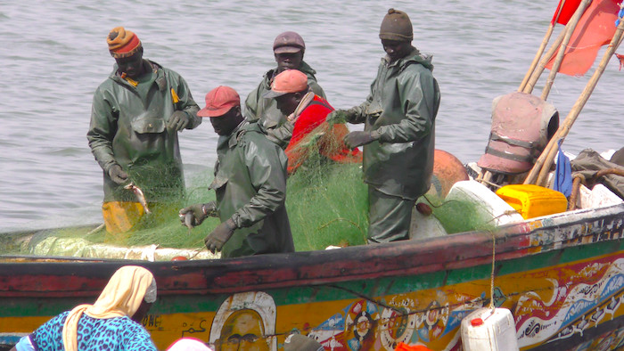 Emprise de BP sur "Diatara" : les pêcheurs de Saint-Louis étalent leurs souffrances ... Emprise de BP sur "Diatara" : les pêcheurs de Saint-Louis étalent leurs souffrances ...